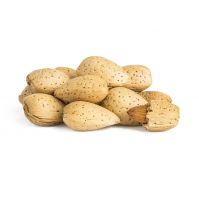 Top Quality Raw Almonds In-shell Nuts For Sale At Cheapest Wholesale Price