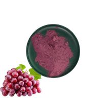Low Price Promotion Fruit Powder Grape Juice Powder High Quality Grape Powder