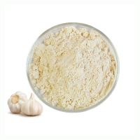 ISO Certificated Bulk Garlic Extract Powder Organic Garlic Powder