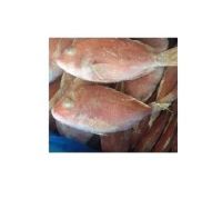 best quality fresh  frozen red snapper fresh fillet skin on huge supplies snapper-fish for sale