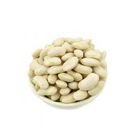 kidney bean wholesale dried dark red bags max lack gift mason crop bulk white kidney beans long shape Big White Kidney Beans