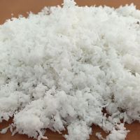 Wholesale Price Organic Bulk Coconut Milk Powder, Coconut Cream Powder