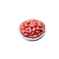 Long-round Shape coated roasted peanuts in red shell for sale packing in bags peanut kernel kaju roasted nuts blanched peanuts