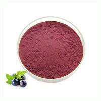 100% Pure Natural Blackcurrant Fruit Powder Food Grade Blackcurrant Juice Powder