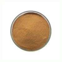Factory Supply Celery Extract Powder Apigenin 10:1 Water Soluble Celery Seed Extract