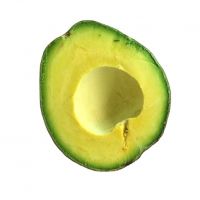 organic fresh avocados AND FUERTE Hass Avocados  hass and fuerte bulk suppliers best quality hass Avocados