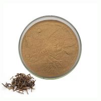 Supply Uncaria Gambir Extract Powder Ramulus Uncariae Extract Gambir Plant Extract