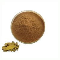 Excellence Price Export Natural Wholesale Cheap Raw No Peel Fresh Sweet Chestnut
