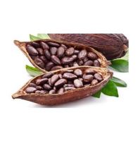 High Quality Vietnam Cocoa Beans 100% Natural