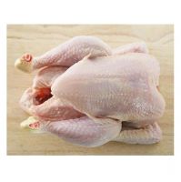 High Quality Frozen Top Grade Halal Whole Chicken And Chicken Parts
