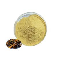 High Purity Kelp Extract Powder Seaweed Extract Fucoxanthin Powder