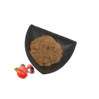 export brown sugar quality price of spices organic sweet cane in discount factory price refined icumsa 45 cane sugar & icumsa 45