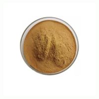 High Quality Emblica officinalis Extract Powder Herbal Supplements 10:1 Phyllanthus Urinaria Extract