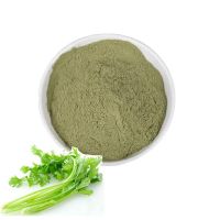 Supply 100% Organic Celery Extract Powder Water Soluble Celery Juice Powder