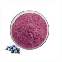 High Quality Bilberry Extract Food Grade Bilberry Fruit Extract Anthocyanidins 25%