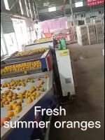 mandarin orange wholesale fresh fruit orange with pack standard open top cartons for sale