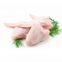 Wings / Frozen Chicken Best Trading Products Body Chicken Style Packaging Kind Fresh Grade Premium for Export