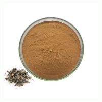 Pure Natural Wormwood Leaf Extract Aiye Leaf Extract 10:1Mugwort Leaf Extract Powder