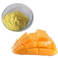 Freeze Dried Mango Powder Delicious Mango Fresh Dried Food Fruit Export For Wholesale  Freeze Dried Mango 13 Hot Selling Organic