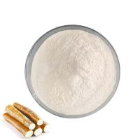 wholesale healthcare supplement Yam Extract CAS 19057-60-4 Dioscorea saponins powder