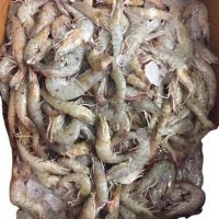 Frozen Fresh Vannamei Shrimp For Sale Now