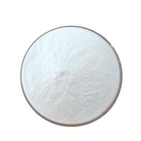 Wholesale DHA EPA Omega 3 Fish Oil Powder TG Fish Oil Powder in Bulk