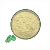 High Quality Kava Extract Pure Kava Root Extract Food Grade 30% Kavalactones Powder