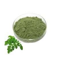 ISO Moringa Extract Moringa Oleifera Powder Natural Moringa Leaf Powder