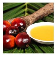 Wholesale Supplier of RBD Palm Olein - Crude Palm Oil 100% Refined Oil Bulk Quantity Ready For Export