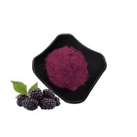 Factory supply natural organic mulberry fruit powder 99%  mulberry juice powder
