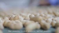 Peanut Dried Kernel Peanuts Groundnut for Sale Kernel Peanuts Peanut Peanut Raw