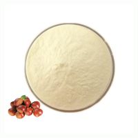 Organic Bulk Horse Chestnut Extract Powder Food Grade Chestnut Powder