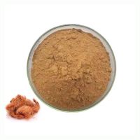 ISO High Quality Corn Stigma Extract Powder Food Grade  Corn Silk Extract Powder