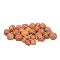 south africa wholesale cheap organic high quality hazelnut flavor for sale suppliers roasted hazelnut dry hazelnuts for Sale