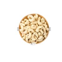 CASHEW NUT WW320 WW240 LOWEST RATE Bag Style Packaging w320 w240 white unprocessed cashew nuts for sale