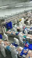 chicken feet wholesale food grade 10kg/carton 25tons 15dayhuge suppliers bulk export frozen chicken feet