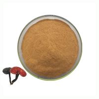 Wholesale Lingzhi Ganoderma Lucidum Extract High Quality 10:1 Reishi Mushroom Extract