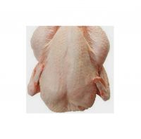 frozen chicken mid joint wing for sale halal chicken fresh whole bulk style packaging food organic feature whole frozen chicken