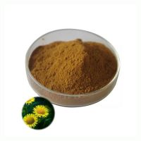 Bulk Inula Britannica Flower Extract Powder Pure natural 10:1 Flos Inulae Extract