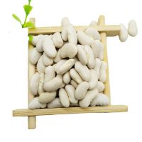 Premium Frozen Lima Beans: Highest Quality, Fresh & Bulk White Beans Supplier