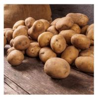 Wholesale Price Fresh Vegetable Potatoes Bulk Stock Available For Sale
