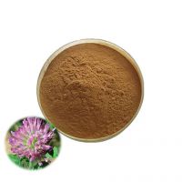 Manufacturer Supply Red Clover Extract 8% 20% 40% Isoflavone For Women's Health