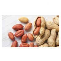 Pure Origin Bold Peanut Kernel 100% Organic Ground Nuts Raw Peanut Buy at Affordable Price