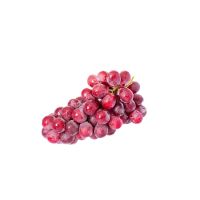 Wholesale custom private label Fresh Grapes Red Globe Purple 10kg carton 25 tons 15days  seeded table seedless green grapes