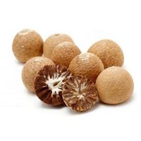 dried betel nut South Africa organic High quality best-selling dried betel nut areca Dried nut for sale