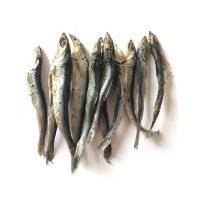 bulk suppliers salted dried fish frozen anchovy best quality  anchovies dried  for sale salted anchovy fillets