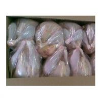 QUALITY HALAL WHOLE FROZEN CHICKEN FROM BRAZIL