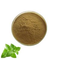 Best Price Catnip Extract Powder Plant Extract Catnip Nepeta Cataria L