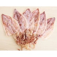 new arrival high quality frozen red squid loligo bulk style packaging color feature weightsouth africa skin on dried whole squid