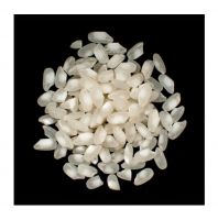 Wholesale Supplier Of Bulk Stock of Arborio rice white organic Fast Shipping